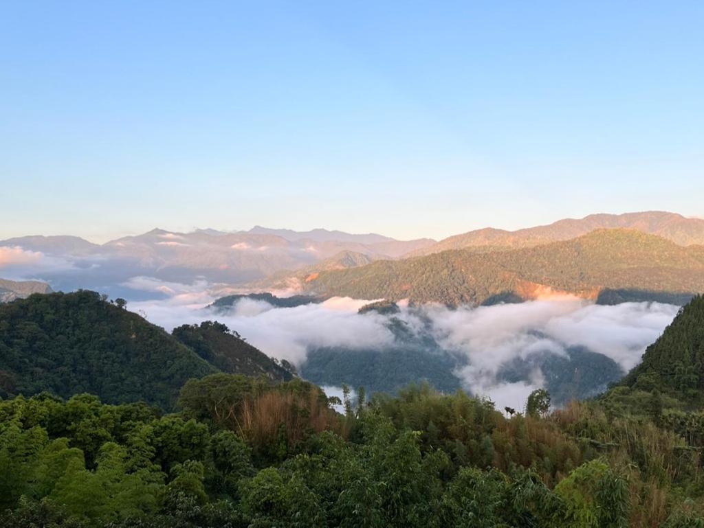 仲明居zhong Ming Ju Taoyi Fang Bed & Breakfast Fanlu Exterior foto
