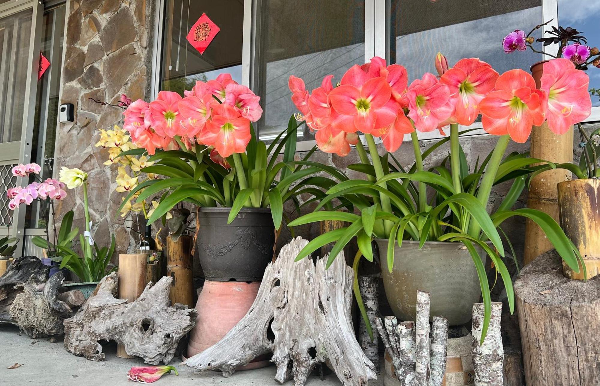 仲明居zhong Ming Ju Taoyi Fang Bed & Breakfast Fanlu Exterior foto